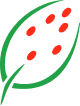 Ícone de folha com sementes vermelhas, representando a matéria-prima vegetal natural usada nos corantes Biocarmim